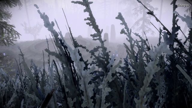 SKYRIM 2020 🐉 146: Kommt, Wir Ziehen Nach Ustengrav