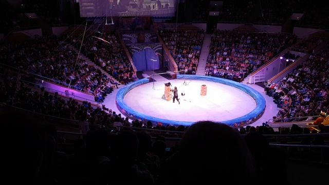 Цирк Сказка о царе Салтане 7января 2017 смотреть онлайн