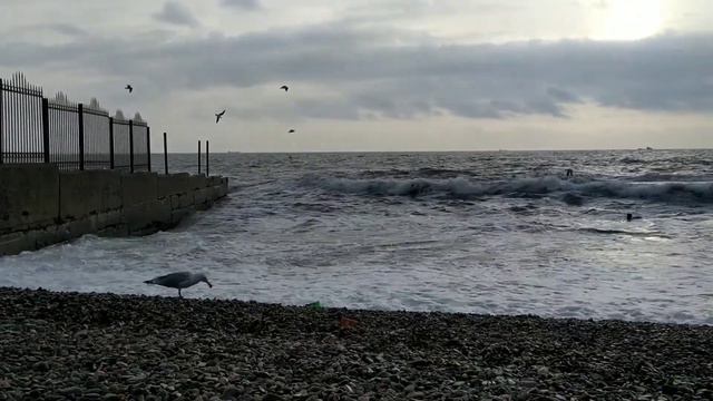 Когда море обнимает тебя волнами -это 👍) смотреть онлайн