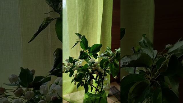 ПОЧЕМУ МЫ С МУЖЕМ НЕ ОШИБАЕМСЯ (не видео, а слышио) смотреть онлайн