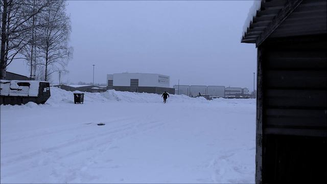 PALMEMORDET | Mysterier vid mordplatsen (18) Mördarens siluett смотреть онлайн