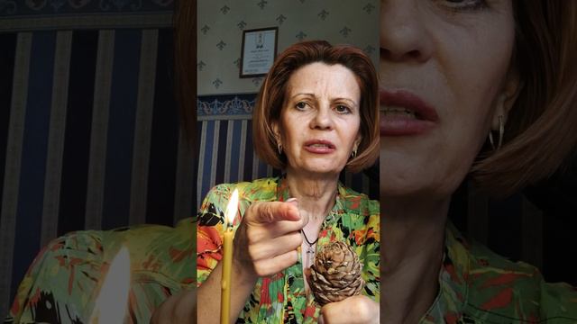 Ченнелинг. Кедровая шишка захотела пообщаться.. смотреть онлайн