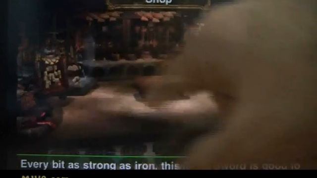 [iPad]Monster Hunter Dynamic Hunting play video смотреть онлайн