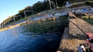 Спиннинг до 1.5 г от Graphiteleader! Первые впечатления от 21'Corto 592XUL-S