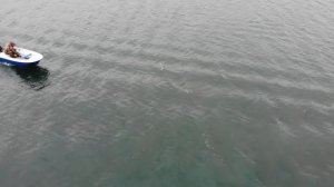 Лодка ПИНГВИН. Первый выезд на воду. Тест лодки с мотором. АЭРОСЪЕМКА. Прицеп для лодки СУДАК 4.6