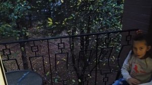 Парк Отель Звенигород - номера в новом корпусе, изменилось всё!