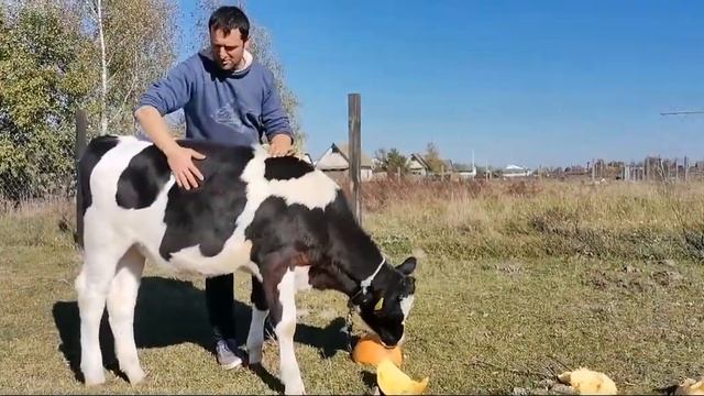 Делай То, Что Дарит Счастье