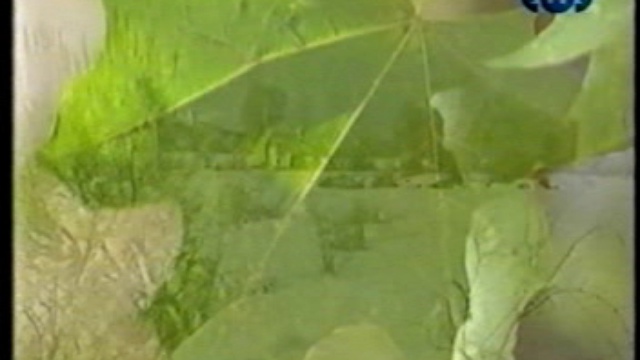 Как возникают суеверия.