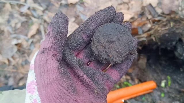 Открытие сезона 2022 Пляжный коп с Quest X5. Женский коп. Нашла подклад? Порча на копе!? смотреть онлайн