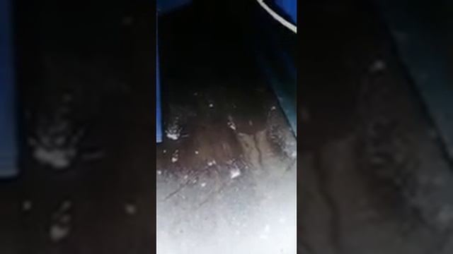 видеоотзыв о прицепе Титан из г  Мегион