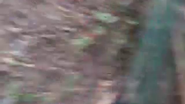 Я снимаю гта5(1) смотреть онлайн