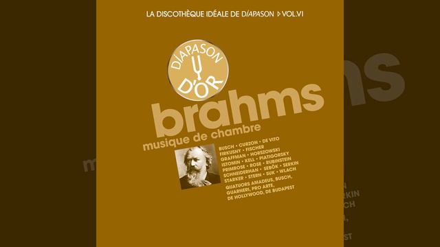 Sonate pour clarinette et piano No. 1 in F Minor, Op. 120 No. 1: II. Andante un poco adagio смотреть онлайн