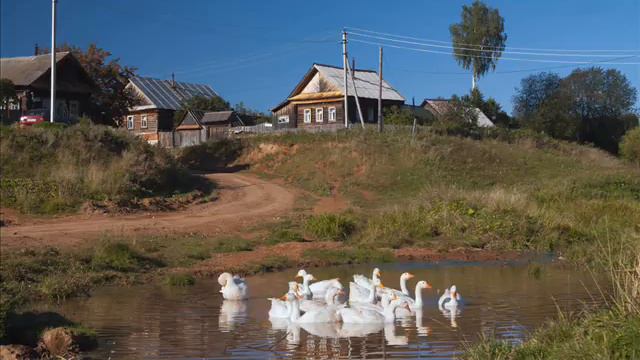 Природа, Кочко-Пожарки, Шубино, Лето, Отпуск, 2016 г. смотреть онлайн
