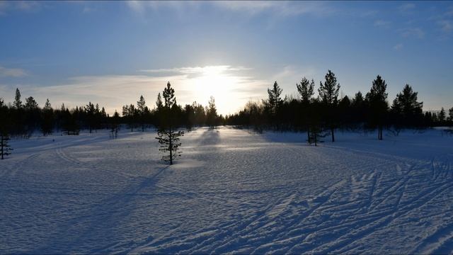 Красота Божьего мира.  Сова, снегири, синицы. Природа, Мурманск, солнце, зима, сопки. 18.02.2020