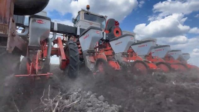 ❗СІЄМО Соняшник разом із ЕЛІТА СЕЛЕКТ? 75 тисяч на ГА? Демо Поле? Трактор ЮМЗ сівалка KUHN ? смотреть онлайн