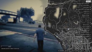 HOW TO ENTER FLEECA BANK VAULT AND PALETO BAY BANK IN GTA 5 OFFLINE