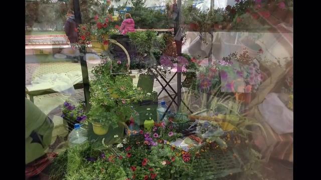 Выставка саженцы и теплицы 2016/Национальные сувениры