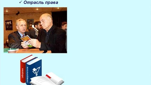 Принципы и отрасли права. Право. Урок 87 смотреть онлайн