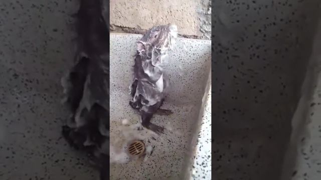 Причина по которой девушки опаздывают на свидание смотреть онлайн