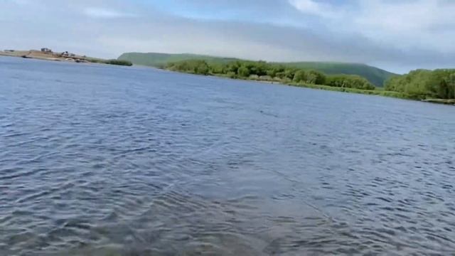 Охота за диким лососем на Максимовке. Сима, Горбуша 2020 Приморский край смотреть онлайн