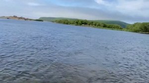 Охота за диким лососем на Максимовке. Сима, Горбуша 2020 Приморский край