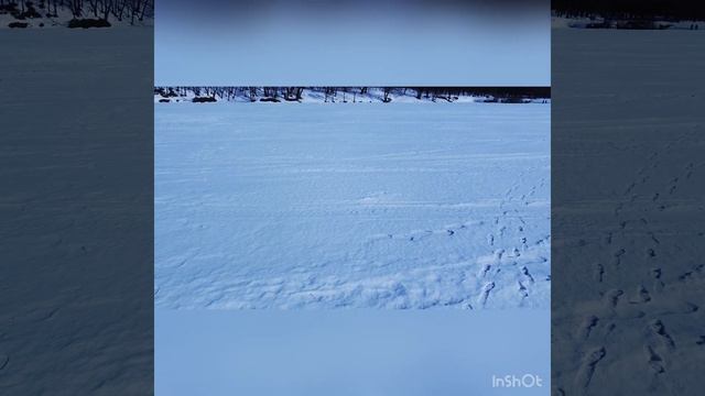 БОГОРОДИЦК смотреть онлайн