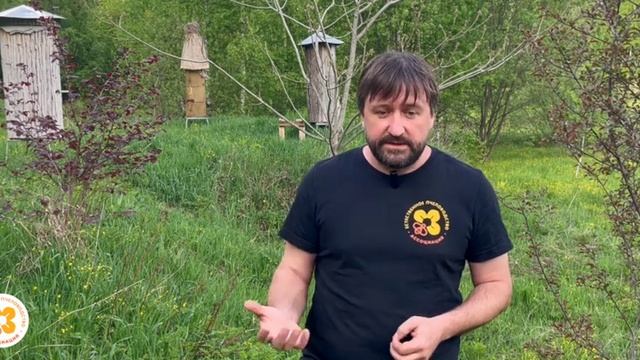 20 мая — День медоносной пчелы и естественного пчеловодства