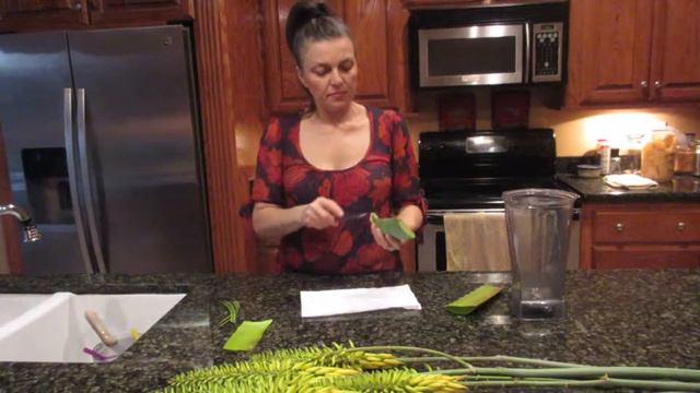 VLOG 282**DIY Making Your Own Aloe Vera Gel** orJANics 50nRaw смотреть онлайн