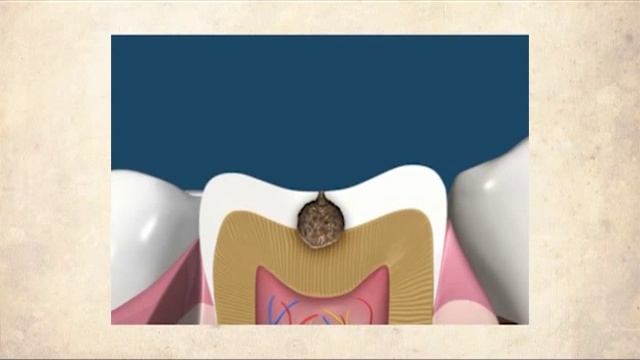 Полезные советы Доктора Воробьва Д А смотреть онлайн