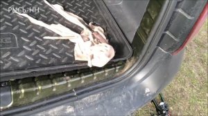 БЫСТРАЯ УСТАНОВКА ФАРКОПА РЕНО ДАСТЕР ФАЗА 2