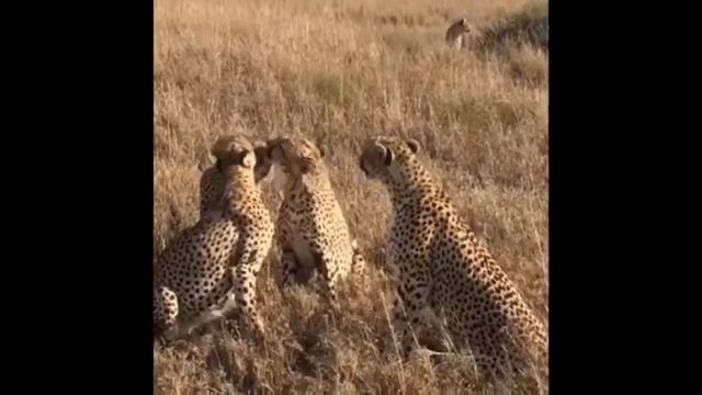 8 Марта смотреть онлайн