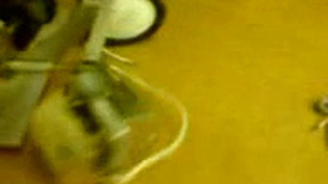 Мой жучара 2 смотреть онлайн