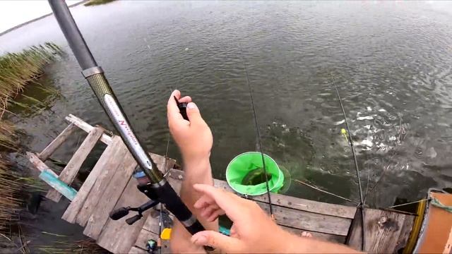 ЗАСТАВИЛ УДОЧКУ ловить килограммовых карасей на чеснок смотреть онлайн