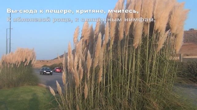 VLOG Ваша Юля - Отдых и романтика на острове Крит смотреть онлайн