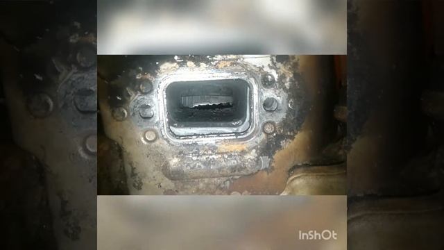 Лесхоз .Это надо видеть Выроботка Stihl ms361 работал два года на валке без ремонта только ТО смотреть онлайн