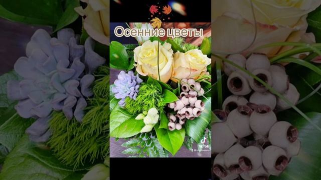 Осенние цветы ? смотреть онлайн