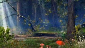 Футаж "Сказочный лес"