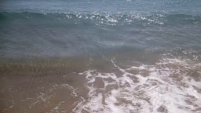 JCSAN14RA-034-city-BENIDORM-las OLAS y el DANUBIO AZUL (fragmento) смотреть онлайн