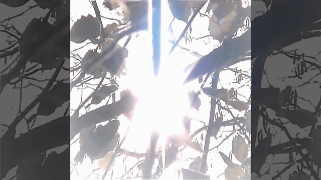 Твоё смотреть онлайн