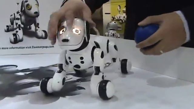 Spin Master - Zoomer the robotic puppy смотреть онлайн