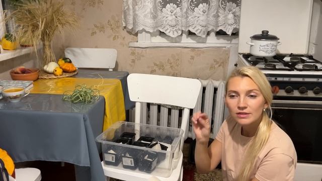 РАБОЧИЕ ЗАВОДЯТ ВОДУ В ДОМ, ПОКА НЕТ ХОЗЯИНА/ПОСАДИЛА ЧЕСНОК, УБРАЛА ТЕПЛИЦУ/ ПЕРВЫЙ ТЫКВЕННЫЙ СОК смотреть онлайн