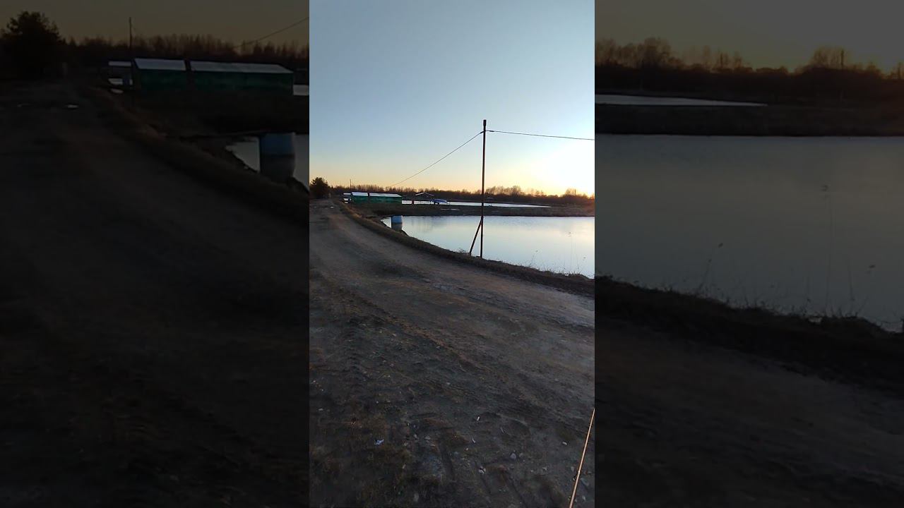 Весенняя рыбалка в Торчино.Ловля на спиннинг. #рыбалка #shortvideo #fishing #природа смотреть онлайн