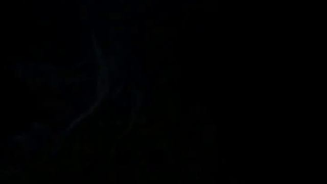 Океанариум в Паттайе 2 (Underwater World Pattaya) смотреть онлайн