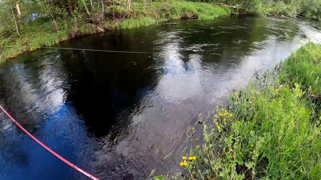 Речка в которой живёт хариус,нахлыст сухая муха(fly fishing) смотреть онлайн