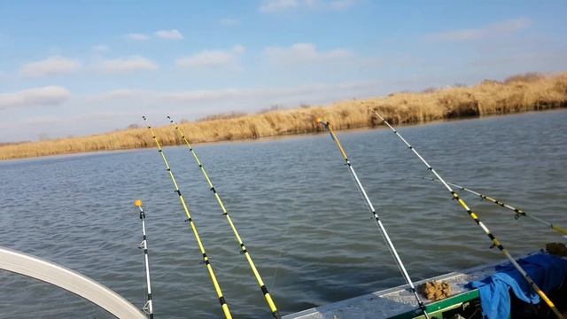 ловим тарань в низовье Дона смотреть онлайн