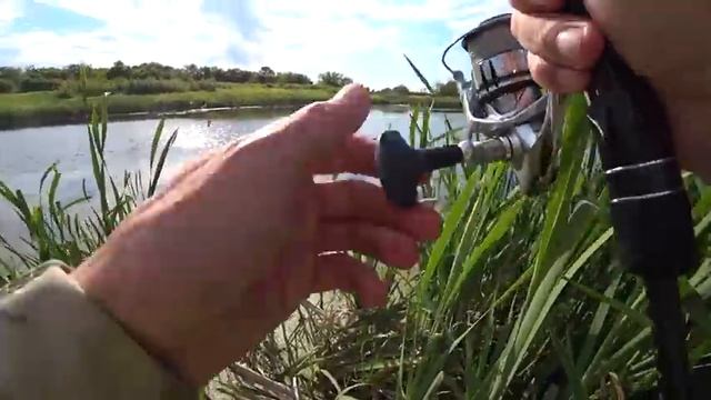 В БОЛОТЕ НА ПОППЕР КЛЮНУЛ БЕГЕМОТ!! Снасть на пределе! Рыбалка на щуку летом. смотреть онлайн