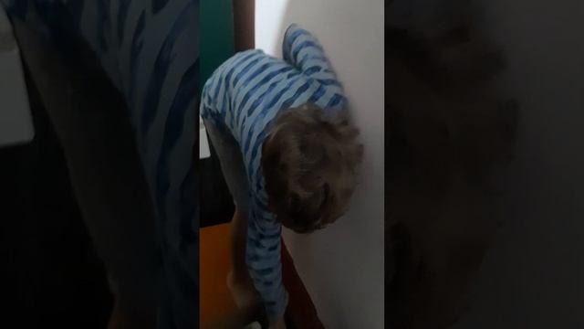 Обзор на домик крысы. Два специальных гостя: крыса Алиса и Петя. смотреть онлайн