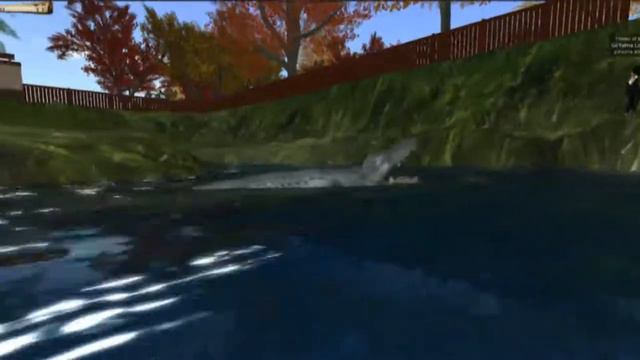 SL JMU HyKa Zoo смотреть онлайн