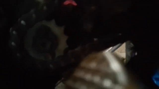 Купил мопед ?✌ смотреть онлайн