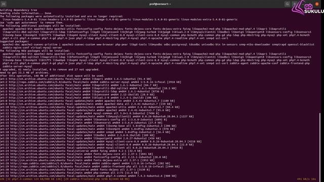 Module 1: Installation et optimisation de l’outil de surveillance Zabbix sur Ubuntu 20.04 смотреть онлайн